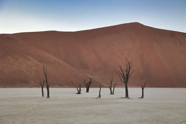 Silence in Deadvlei                                                                                  — Landscapes                                                                                           | Robert Ferda Photography